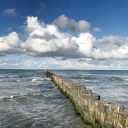 Vakantiehuis Am Deich 31 Zingst